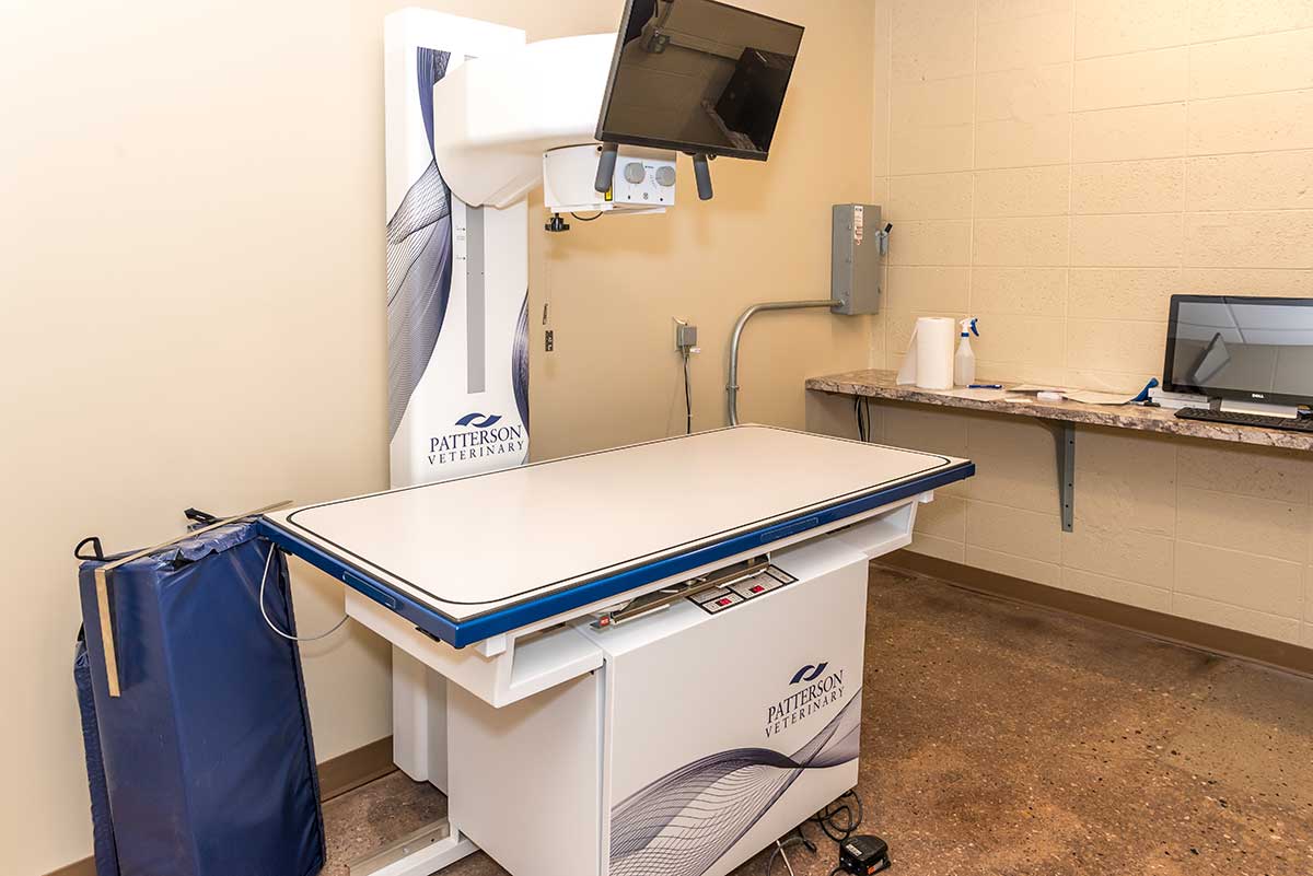 Veterinary Services Passion for Paws Veterinary Clinic